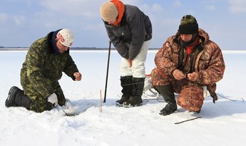 Panter Business - Is - fiskefri uden en kold skulder